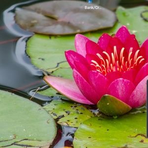 Meet your Posher, Cassandra